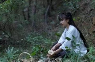 ​李子柒真实的家曝光真的常年住山里吗 李子柒过往真实经历揭秘