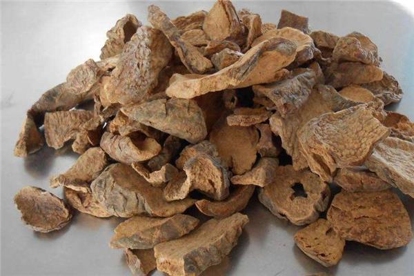 肉苁蓉可以生吃吗 生吃对功效有影响