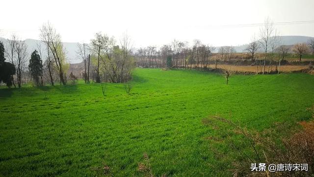 寒食节是哪一天（清明和寒食分别是哪天）(2)