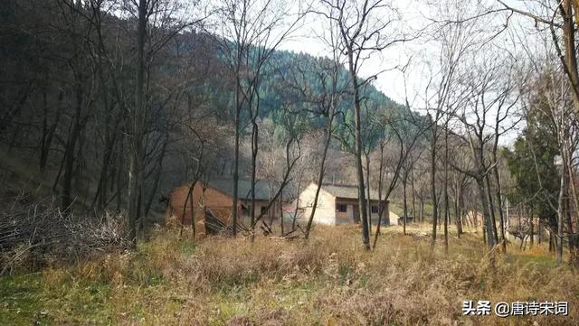 寒食节是哪一天（清明和寒食分别是哪天）(4)