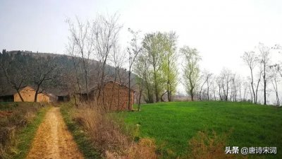 ​寒食节是哪一天（清明和寒食分别是哪天）