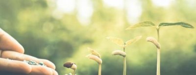 ​怎么样除去床单上的墨水墨水弄到床单上快速清除小妙招