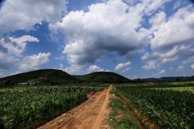 ​我的家乡沂蒙山（沂南）