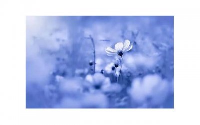 ​中青年女性被男的搭讪是什么原因(女人被男人搭讪说她有男朋友)