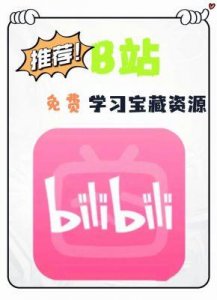 ​免费b站在线观看人数在哪儿，网友：轻松掌握技巧！