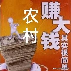 有什么投资少赚钱的小生意：1000元能做什么生意