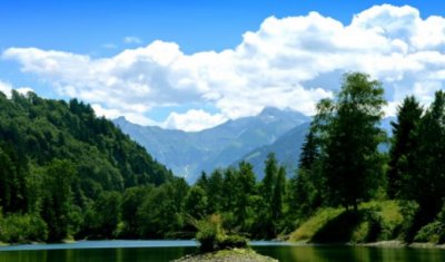 ​八字中什么叫食伤 八字食伤代表什么意思