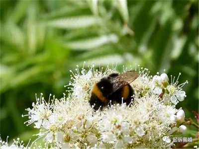 ​女方拖着不离婚的策略（妻子出轨拖着不离婚的结果）