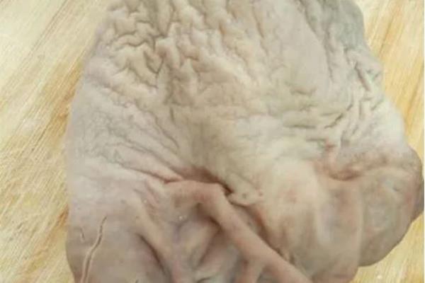 猪肚是内脏吗 猪肚的嘌呤含量高吗