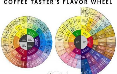 ​咖啡分类，西方咖啡如何分类？