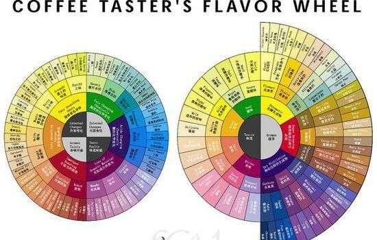 西方咖啡如何分类