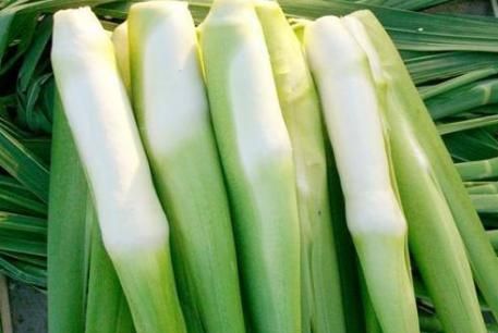 茭白有黑点能吃吗，种植茭白发现有些茭白早早产生黑斑点，如何才能延缓茭白产生黑斑点？图2