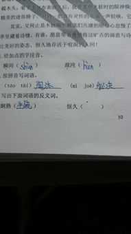 持久的反义词(持久的反义词是什么)