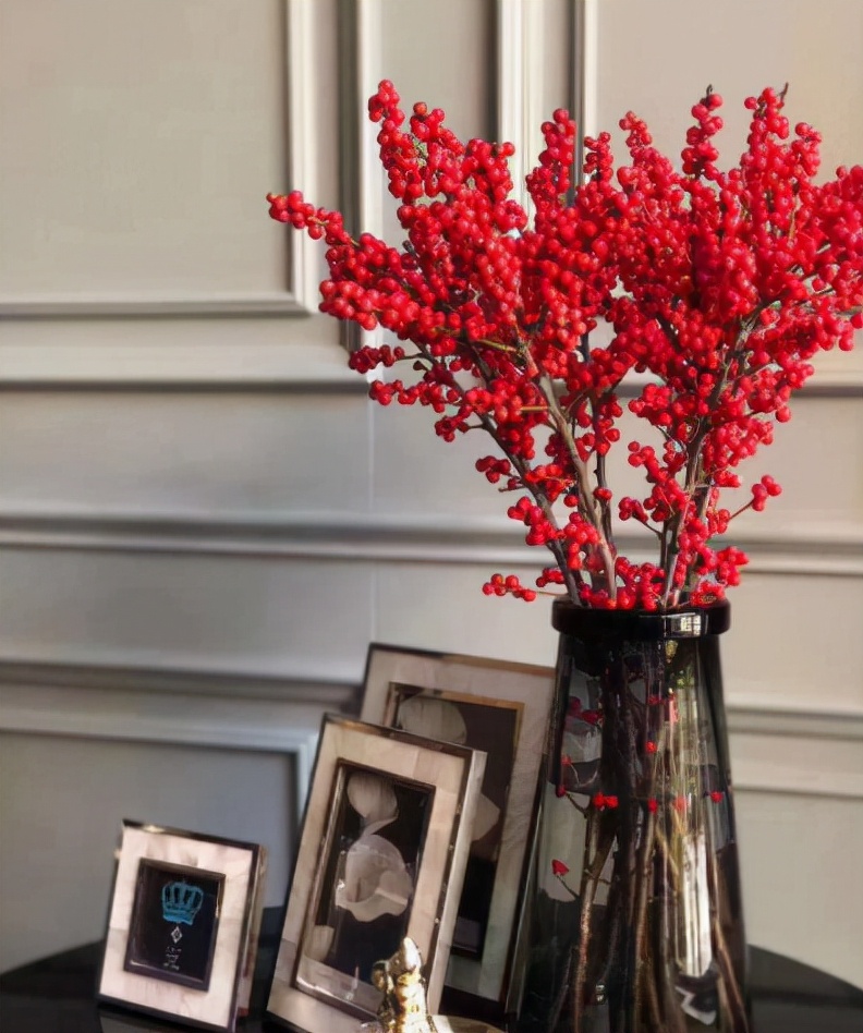 棉花的花语和寓意（一文了解棉花代表的含义）