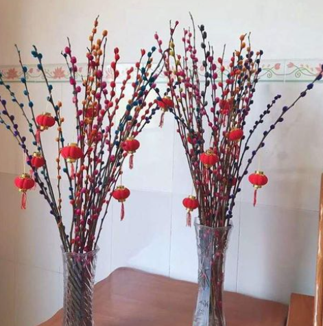 棉花的花语和寓意（一文了解棉花代表的含义）