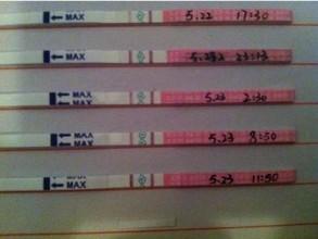 排卵期的日子怎么推算（排卵日计算方法集锦）(3)