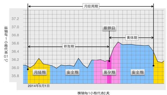 排卵期的日子怎么推算（排卵日计算方法集锦）(2)
