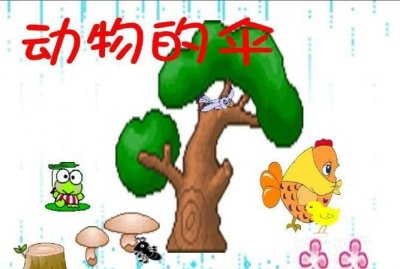 ​什么动物打开什么像把伞,什么动物的壳像一把打开的伞一样