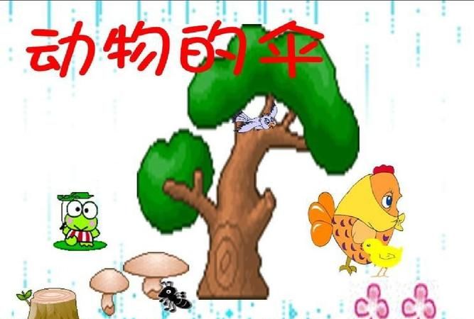 什么动物的壳像一把打开的伞一样