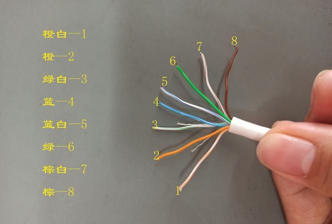 五类网线和六类网线排线顺序有什么不同