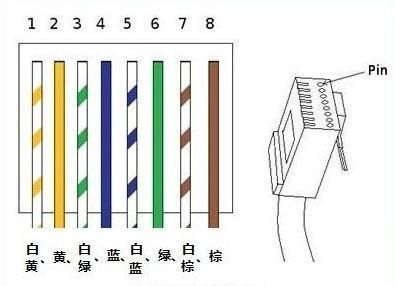 网线的排列顺序