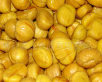 板栗怎么保存不会坏,板栗要怎么保存才不会坏掉图1