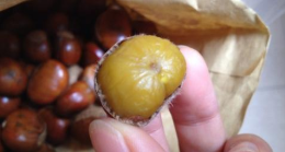 板栗怎么保存不会坏,板栗要怎么保存才不会坏掉图3