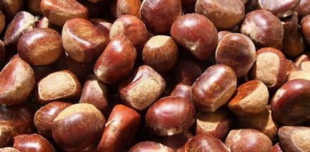 板栗怎么保存不会坏,板栗要怎么保存才不会坏掉图4