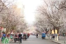 倒春寒吃什么好？倒春寒吃什么养生？