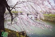 倒春寒吃什么好？倒春寒吃什么养生？