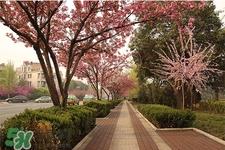 倒春寒吃什么好？倒春寒吃什么养生？