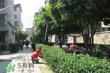 倒春寒吃什么好？倒春寒吃什么养生？