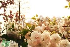 倒春寒吃什么好？倒春寒吃什么养生？