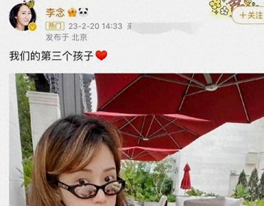 ​惊爆！李念老公身份曝光，背孩子出行惹众惊叹，夫妻打入富婆圈！
