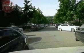 常用的安全驾驶常识（新手司机请收藏）(5)