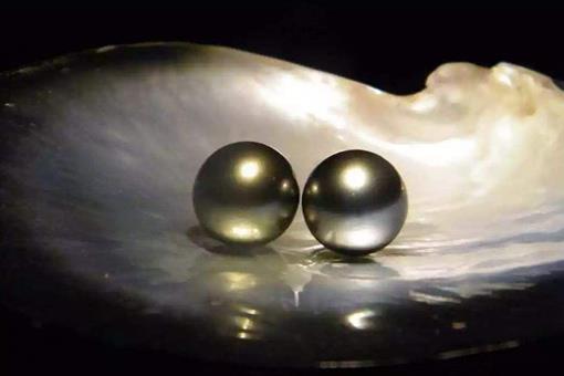 为何说女人最好不要戴珍珠?