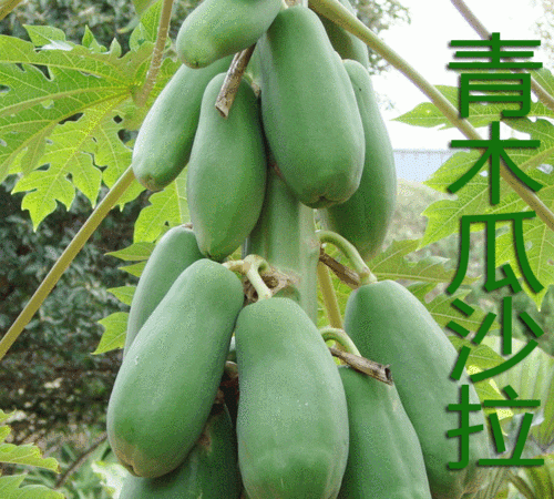绿皮木瓜要放黄吗