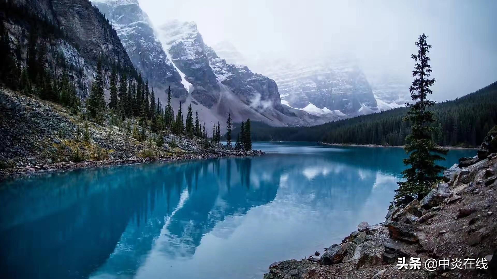 女生职高学什么好就业（女生职高学什么最挣钱）