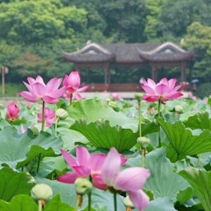 ​如何让女人潮吹，让女人情不自禁地爱上你