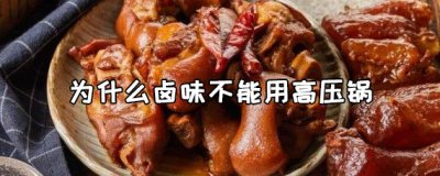 ​为什么不能用高压锅压卤味？卤味用什么锅最好？