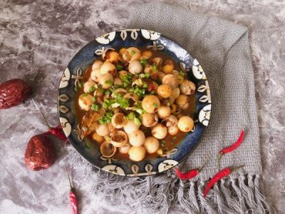 ​甲鱼蛋能吃吗(甲鱼蛋能吃吗 知乎)