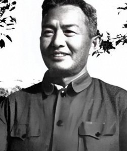 ​陈昌浩回国后默默无闻，妻子任副部长，儿子却是万人敬仰的大人物