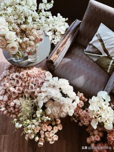 ​情人节送什么花表示初恋（情人节不同阶段送什么花合适）