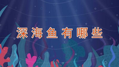 ​深海鱼有哪些好处 深海鱼的特点是什么