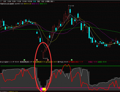 ​股票主力监控精灵 股票主力监控用什么软件