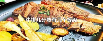 ​牛排几分熟有几个等级