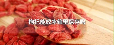 ​枸杞能放冰箱里保存吗冬天 枸杞能放在冰箱里保存吗