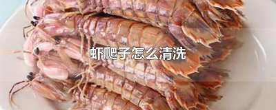 ​虾爬子怎么清洗