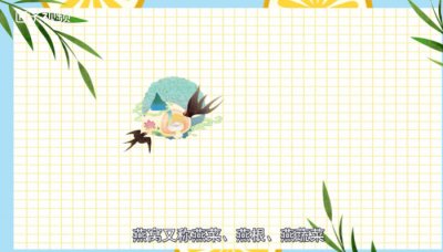 ​燕窝是什么东西