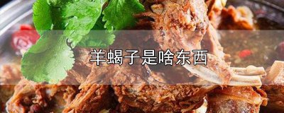 ​羊蝎子是啥东西